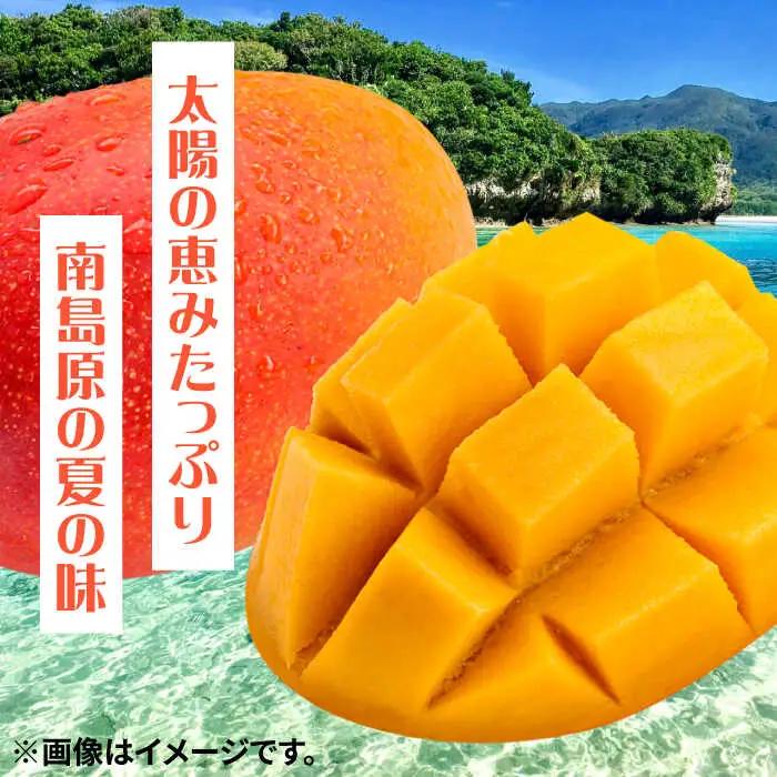 【2027年7月-発送】南島原産完熟マンゴー２玉 / 南島原市 / ながいけ [SCH064]
