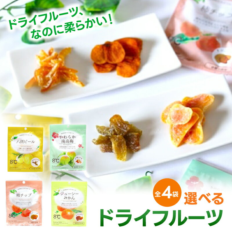 【ふるさと納税】 ドライフルーツ 5袋セット ※1ケ月以内に順次発送 / 八朔 みかん 柿 アソート