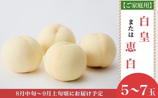 
                  【ご家庭用】岡山白桃「白皇もしくは恵白」5～7玉【2026年8月中旬頃から順次発送】
                