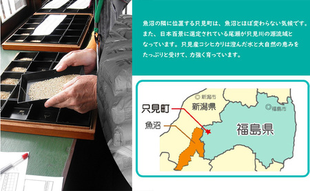 【米屋商店】令和5年産　こだわりの奥会津只見産　コシヒカリ　5kg×2袋（合計10kg）