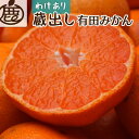 【ふるさと納税】＜1月より発送＞家庭用 蔵出みかん5kg+150g（傷み補償分）【有田の蔵出しみかん】【わけあり・訳あり】【光センサー選果】 | フルーツ 果物 くだもの 食品 人気 おすすめ 送料無料