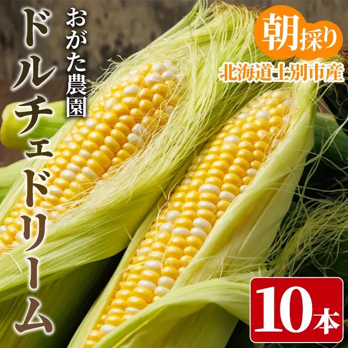 とうもろこし ドルチェドリーム 10本 北海道 士別 2026年7月下旬以降発送予定【おがた農園】A7148