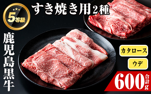 i056 ＜D-101＞肉質最高ランク等級5等級　鹿児島黒牛(カタロース・ウデスライス)すきやきセット(計600g)【JA鹿児島いずみ】