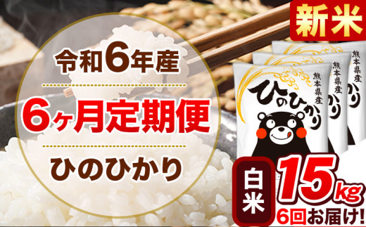 令和6年産新米 【6ヵ月定期便】 白米 ひのひかり 定期便 15kg 5kg×3袋《お申込み翌月から出荷開始》 熊本県産 精米 ひの 米 こめ ヒノヒカリ コメ お米