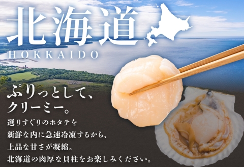 3322. ホタテ貝柱 1kg 100g×10 小分け ほたて 帆立 ホタテ 貝 貝柱 玉冷 貝 刺身 海鮮 冷凍 ご家庭用 送料無料 北海道 弟子屈町
