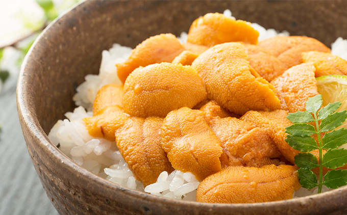 【令和8年発送先行予約】塩水うに 80g×1パック | 冷蔵 | 北海道 奥尻町 送料無料