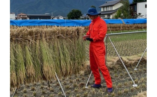 信州の恵み、松本市産のコシヒカリ