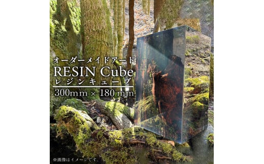 オーダーメイド アート RESIN Cube 300ｍｍ×180ｍｍ インテリア レジン キューブ 自然 静岡県 沼津市 ホテルライク 会社 デザイナー アーティスト おしゃれ 美しい 芸術 置物 玄関