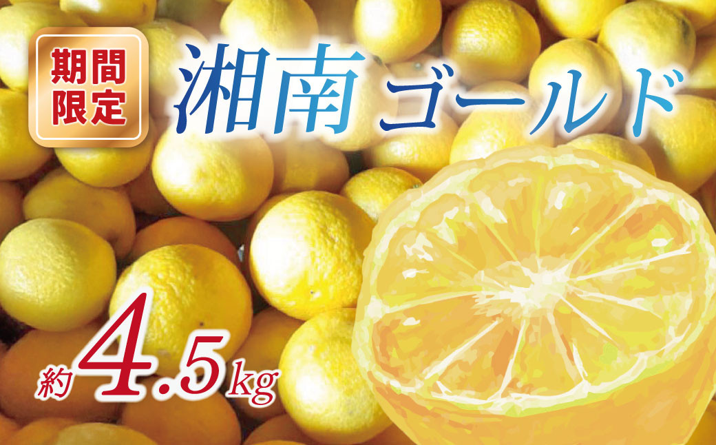 
            宮村農園のこだわり湘南ゴールド・約4.5㎏｜国産柑橘 みかん 酸味 産地直送 国産みかん  国産フルーツ 果実 ギフト ビタミン おすすめ 上品 
          