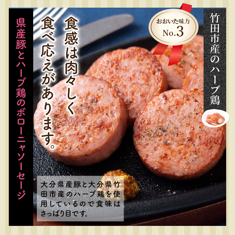 満足の1.14kg!おおいた味力ソーセージセット_1308R_イメージ4