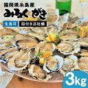 【ふるさと納税】みるくがき 3kg ◆生食可 から付き 活牡蠣 ≪糸島≫【豊久丸】ブランド/カキ/牡蛎[AEJ005] 16000円