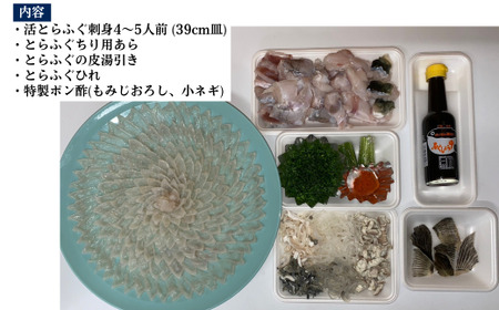 【北海道・東北・沖縄・離島配送不可/着日指定必須】2025年11月以降発送 活とらふぐ刺身 4~5人前 冷蔵 海鮮 フグフグフグ