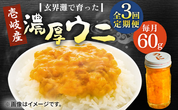 
            【全3回定期便】壱岐産 濃厚 ウニ60g《壱岐市》【合同会社塚元】ムラサキウニ 海産物 海鮮 ウニ うに 雲丹 珍味 [JDR030]
          