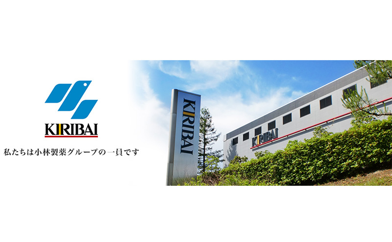 マグマ 貼らないタイプ 1箱 240枚 使い捨て カイロ （ 12間持続 長時間 貼らない ホッカイロ 日本製 大容量 桐灰 雑貨 日用品 防寒 持ち運び 寒さ対策 あったか グッズ 冷え 送料無料 
