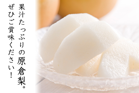 【日付指定不可】『清田果樹園』の原倉梨 期間限定 予約受付中 たっぷり約5kg 6-14玉前後《9月上旬-10月上旬頃出荷》 果汁あふれるシャキシャキ食感！新高梨 新興梨 あきづき 豊水梨 熊本県玉名