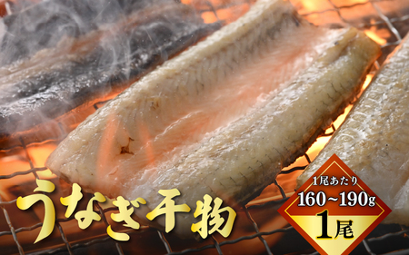土用の丑の日 国産 うなぎ 干物 約160～190g × 1尾 冷凍 【ウナギ 鰻 】 [m81-a001]