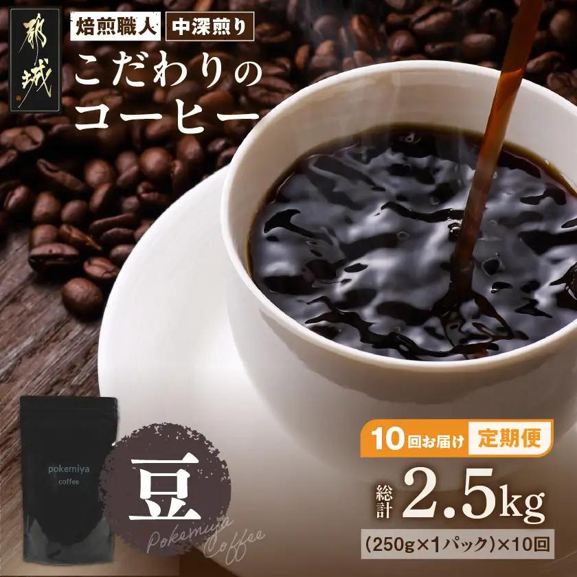 10回お届け!焙煎職人こだわりのコーヒー定期便【豆】250g 小分けパック(ジッパー・バルブ付) ※中深煎り※_TLA10-3302_(都城市) コーヒー豆 250g×1パック 少量パック ジッパー・バルブ付き ポスト投函 珈琲 全10回 毎月お届け 定期便