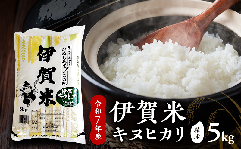 お米 キヌヒカリ 【精米】令和7年産　伊賀米キヌヒカリ　5kg  白米 ごはん もっちり 産地直送 農家直 三重県 名張市 新米 美味しい おいしい 銘柄米
