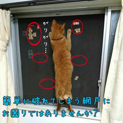 ふるさと納税 富田林市 SHINWAの猫マール32 猫用ステンレス製防虫網　【愛猫の爪対策品】 |  | 01