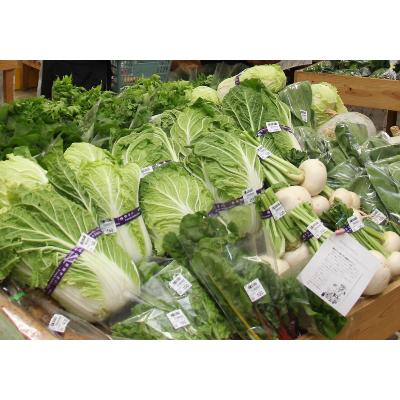 ふるさと納税 鮫川村 季節の野菜セット(5〜10種) |  | 01