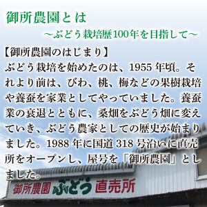 シャインマスカット 2kg ＜出荷時期：2026年8月下旬～9月下旬頃＞ ぶどう 葡萄