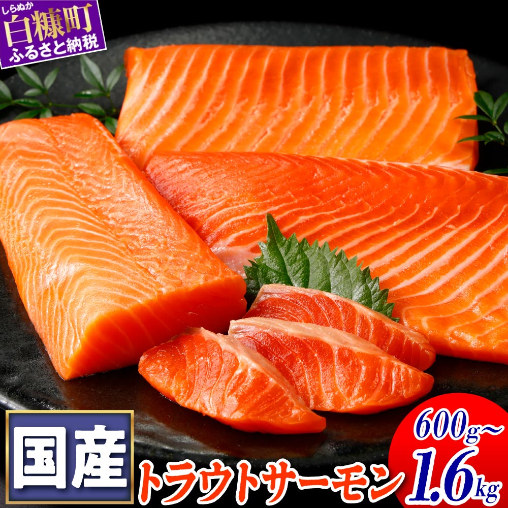 6/2～ 寄付額改定 高評価 4.93 国産ワンフローズントラウトサーモン 850g ふるさと納税 魚 サーモン 鮭 刺身 さけ サケ 人気 ふるさと 海鮮 海鮮食品 魚介類 魚介 北海道 白糠町