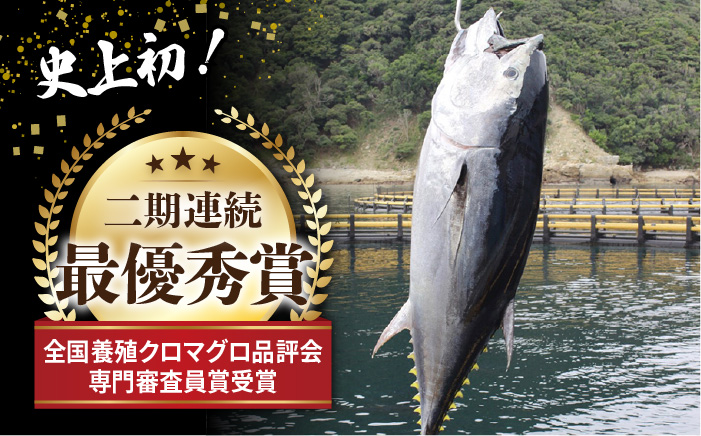 【海のダイヤ！近大マグロそのまま1本お届け】長崎県五島産近大マグロ丸ごと1本40kg以上！【ツナドリーム五島】 [PES001]