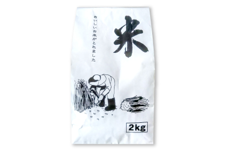 D-393 すき焼きセット（松永和牛すき焼き用ロース500g・野菜5品以上・お米2kg）