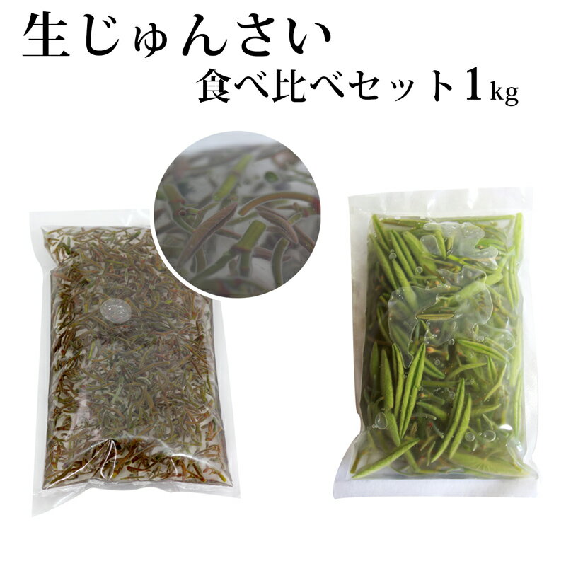【ふるさと納税】生じゅんさい食べ比べセット1kg タレ4個（生じゅんさい500g、特選生じゅんさい500g） 《冷蔵》（2026年5月上旬頃〜7月下旬までに発送予定） 先行受付