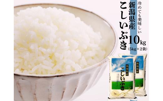 【令和7年産】新潟産 こしいぶき 10kg（5kg×2袋） 白米 精米 米 こめ コメ 1N17021