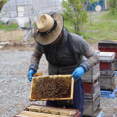 ふるさと納税 三春町 三春町産　力男のはちみつ【大瓶詰め合わせ】 |  | 03