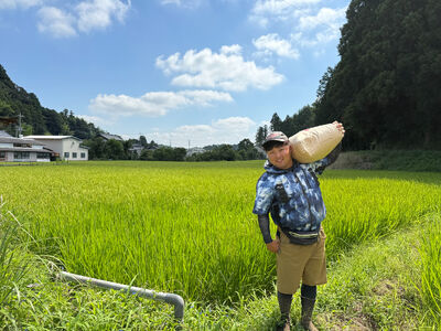 多古米セレクション　柏原徹さんの多古米コシヒカリ　精米10kg　令和7年産【配送不可地域：離島】米 白米 ご飯 千葉県産 TAKF062