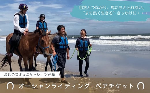 海での乗馬体験 ～ 初心者向け ～ オーシャンライディング  ペア チケット 乗馬 初心者向け 体験 海中乗馬 アクティビティ レジャー 夏休み 旅行 馬 ふれあい ペア八丸牧場  宮城県 東松島市 オンラインワンストップ 申請 自治体マイページ