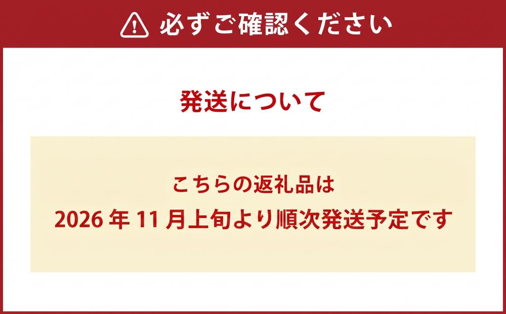 熊本県産のどんこ（ 椎茸 ）を使ったどんこバーグ5個入（100g×5個）&まぜご飯 2個（150g×2個）セット