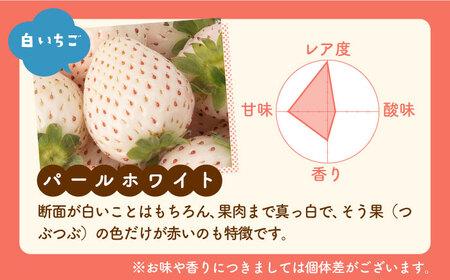 【先行予約】【産地直送】上品な甘さ！希少な白いちご「パールホワイト」220g×2パック [IZZ003]