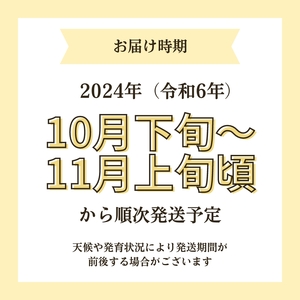 【令和6年産新米予約】【無洗米】特別栽培米サキホコレ2kg×1