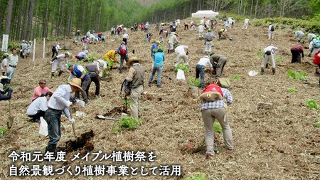 【返礼品なし】群馬県 嬬恋村 ふるさと応援寄附金 50000円 寄附のみの応援 [AO018tu]