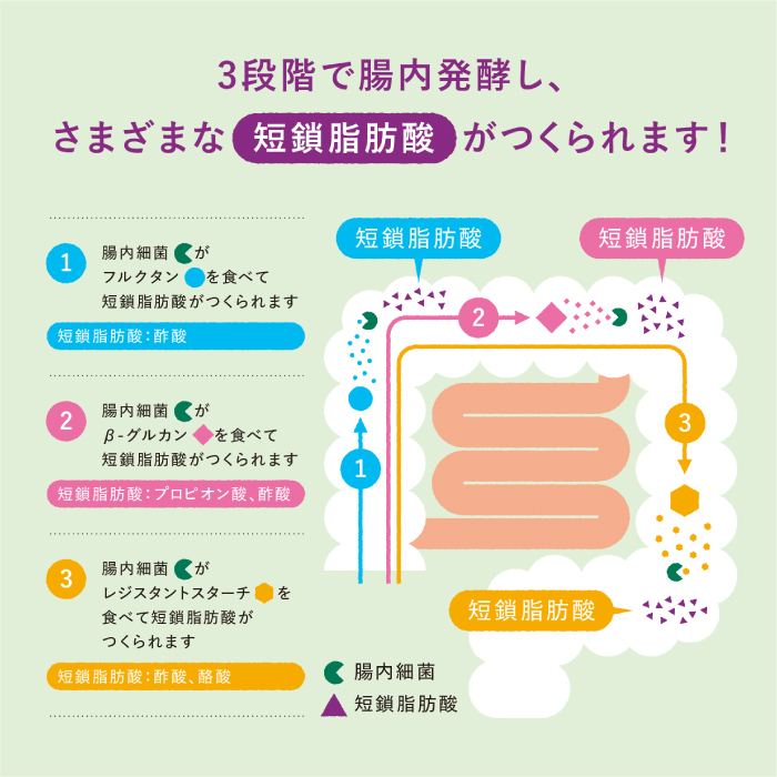マイ・フローラグラノーラ200g×4袋 食物繊維 腸活 野村乳業 104014