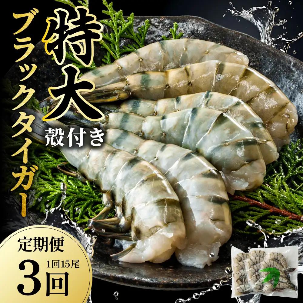 【3回定期便】特大 ブラックタイガー 無頭えび 570g前後（15尾）×3回 
