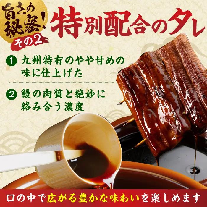 特大うなぎ蒲焼（220g×2尾） / うなぎ ウナギ 鰻 [AFBS005]
