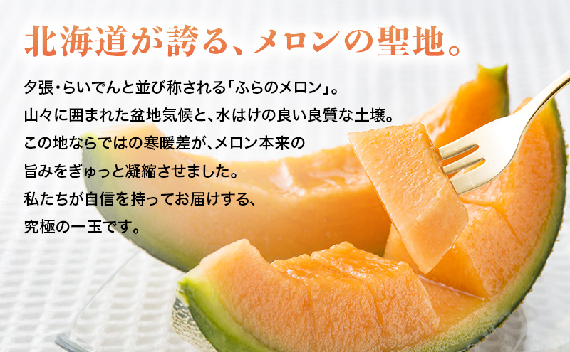 【2026年7～9月連続お届け】3品種 ふらの メロン 定期便 ≪計3玉≫ 北海道 富良野市 (高見農園) メロン フルーツ 果物 新鮮 甘い 贈り物 ギフト 道産 ジューシー おやつ ふらの ブラン
