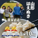 【ふるさと納税】新米令和6年産 コンクール受賞農家直送 山形県産はえぬき10kg 玄米【浦田農園 むすび米】【1522445】