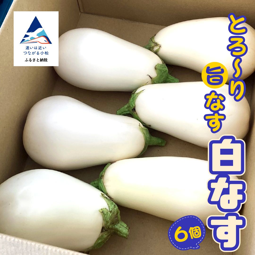 【ふるさと納税】【季節限定】のうちゃんファームの白なす 野菜 茄子 白茄子 季節限定 ギフト 小松市 石川県 ふるさと 納税 007041【のうちゃんファーム】