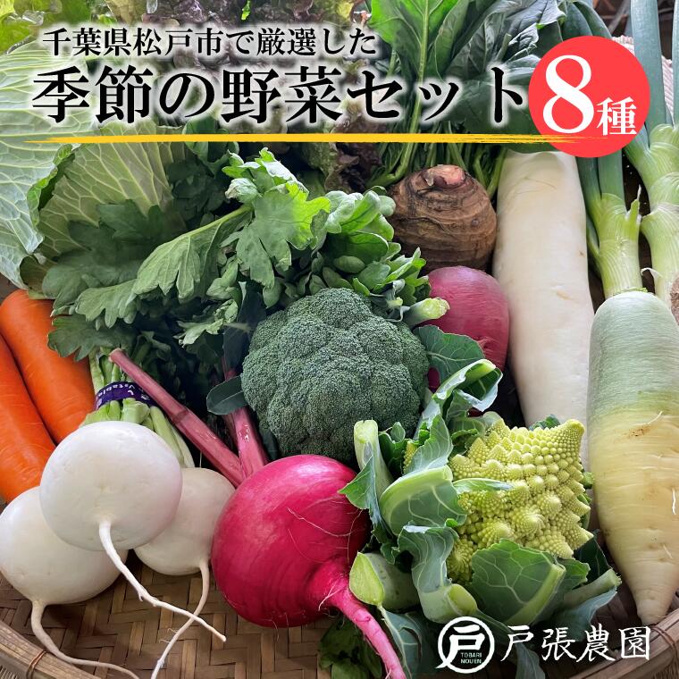 【ふるさと納税】野菜 厳選 おまかせ 野菜セット 8種 トマト 大根 キャベツ ナス とうもろこし キュウリ しいたけ ほうれん草 小松菜 ズッキーニ かぼちゃ さつまいも ブロッコリー 菜の花 福袋 セット 農家 旬 美味しい ネギ 枝豆 春 夏 秋 冬 オクラ いんげん ピーマン