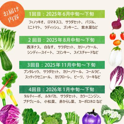 ふるさと納税 河北町 ※2025年6月発送開始【計4回定期便】山形県かほくの季節のイタリア野菜・地元野菜のおまかせセット |  | 02
