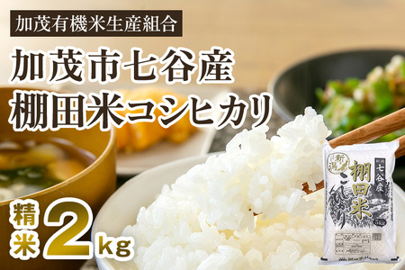 【令和7年産新米先行予約】新潟県加茂市 七谷産 棚田米コシヒカリ 精米2kg 《10月中旬から順次出荷》 白米 加茂有機米生産組合 新潟県産コシヒカリ 米 お米