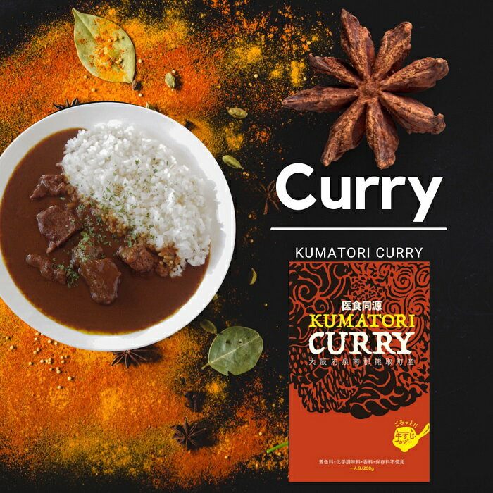 【ふるさと納税】KUMATORI CURRY（牛すじ）10個（021_5004）