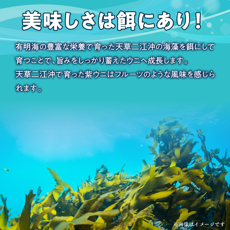 S157-011_天草二江の天然紫うに 80g 80g