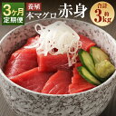 【ふるさと納税】【3ヶ月定期便】長崎県産 本マグロ 赤身 約1kg×3回お届け 合計約3kg 8～10人前【大村湾漁業協同組合】