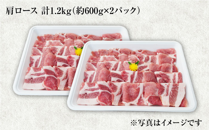 【今夜は焼肉パーティ♪】大西海SPF豚 肩ロース（焼肉用）計1.2kg（600g×2パック） 訳あり ＜大西海ファーム＞ [CEK035]